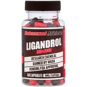 Where to Buy Ligandrol